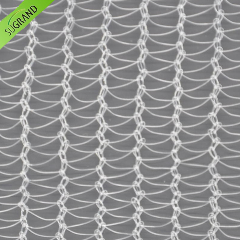 Un filet anti-grêle transparent de 40 g/m² protège les plantes