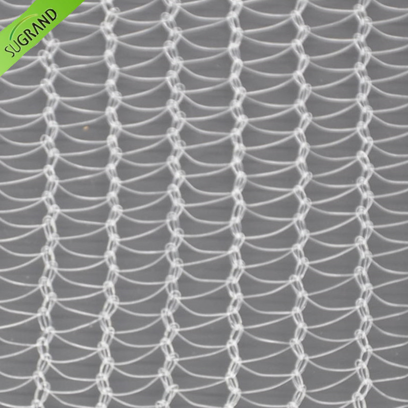 Un filet anti-grêle transparent de 40 g/m² protège les plantes