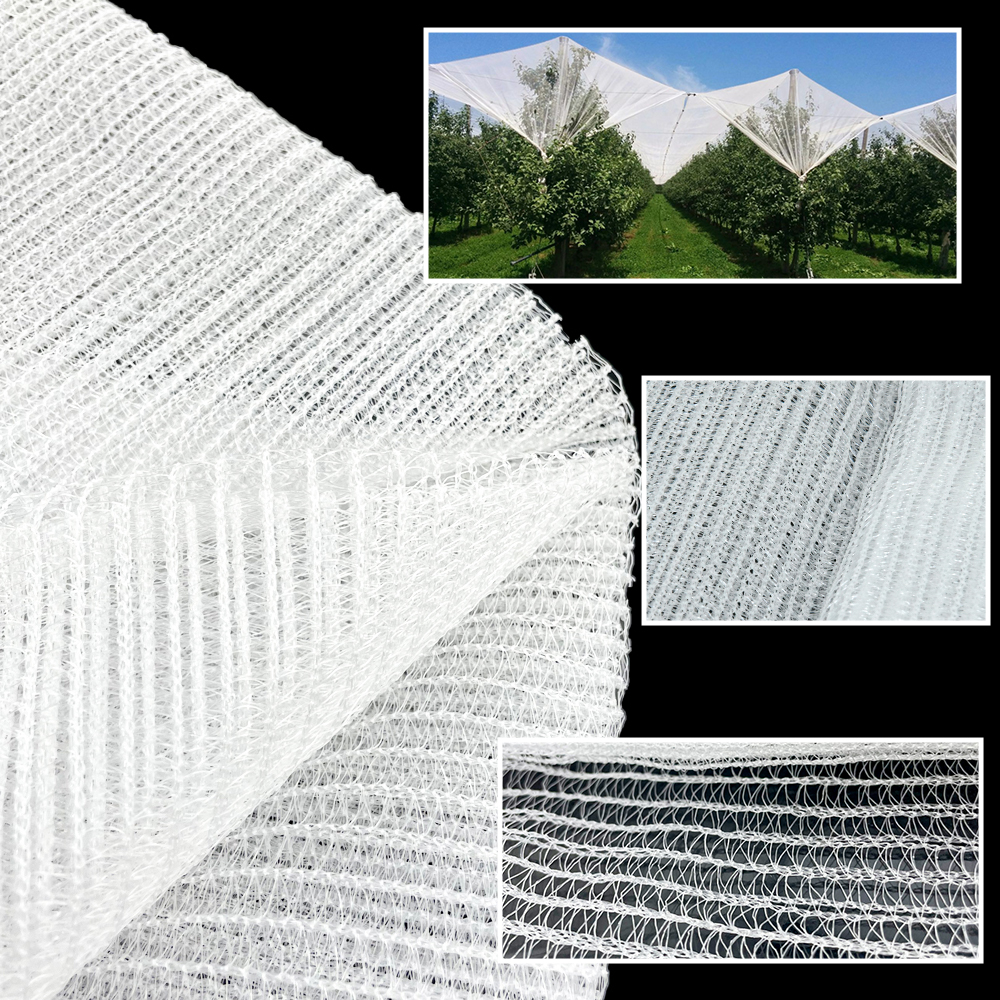 Agricultural HDPE Plastique anti-grêle Net Net White Preo Proof Net 