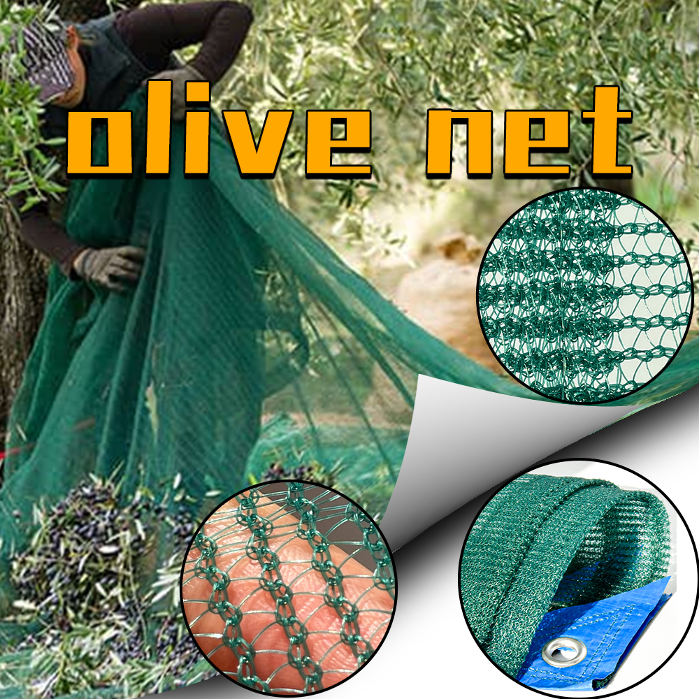 Le rôle de l'olive net dans la récolte