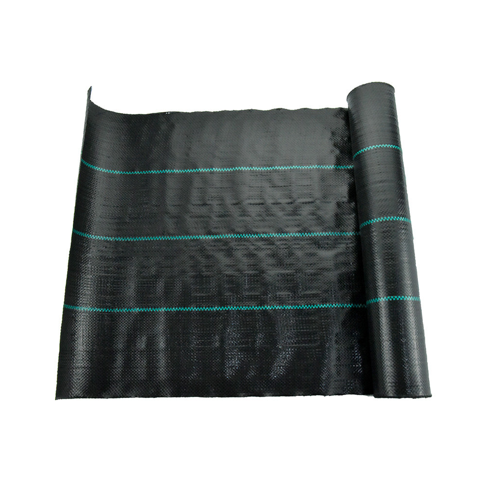 China Factory 70g Agricultural Landscape PE Couverture de couverture terrestre