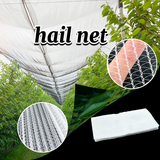 Agricultural HDPE Plastique anti-grêle Net Net White Preo Proof Net 
