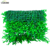  Jardin extérieur UV protégé un faux plastique verdoyant mur d'herbe