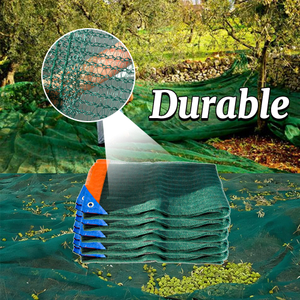 L'olive en plastique d'agriculture rassemble la maille nette de récolte de fruits en Tunisie