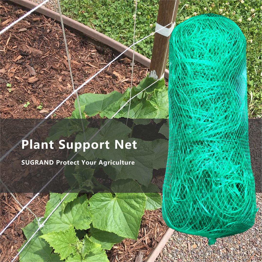 Filet de support pour plantes vertes 10GSM, filet de haricots