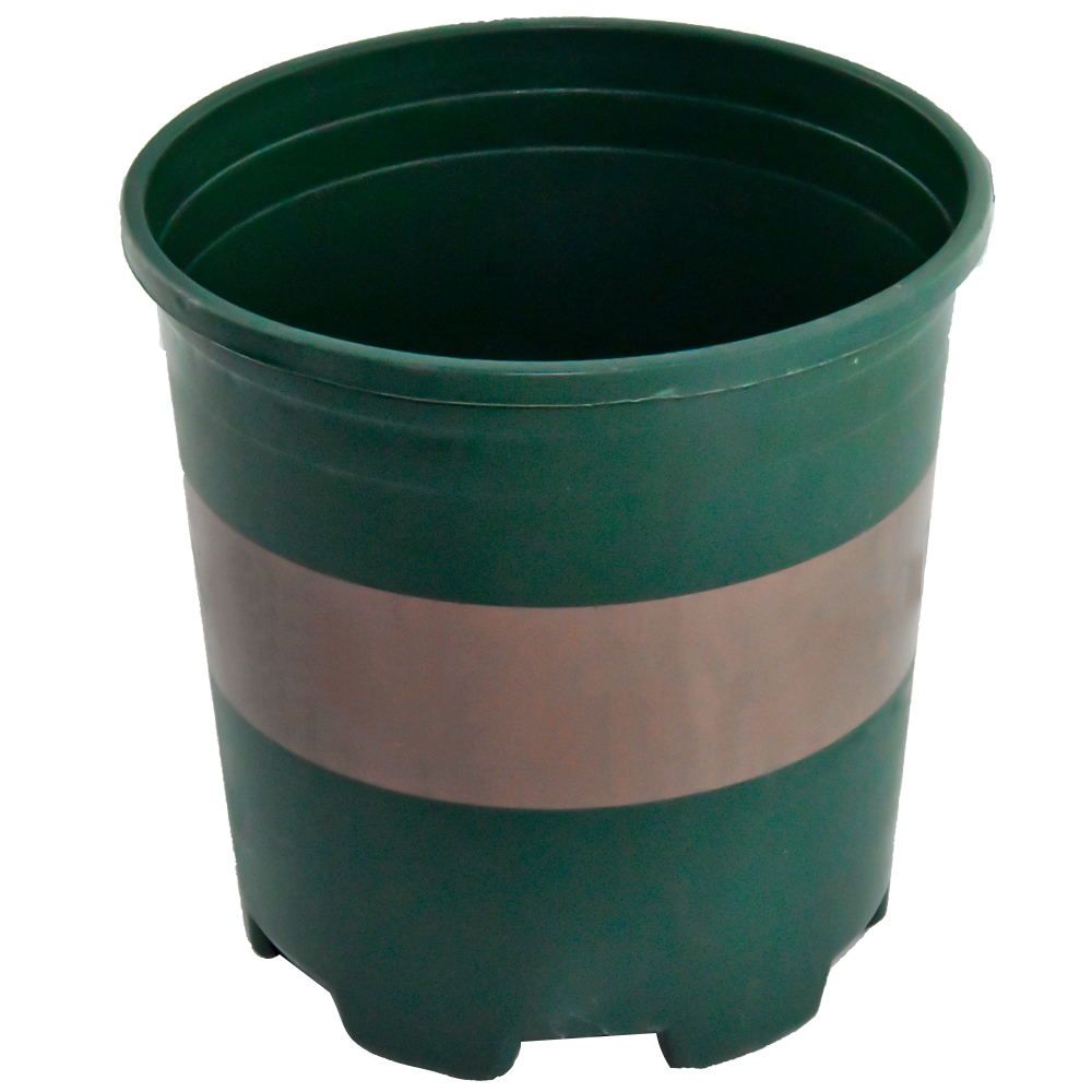 Plateaux de pots de pépinière de plante de couleur noire durable pour les usines de transplantation