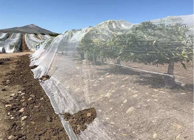 filet &agrave; abeilles2