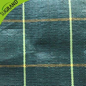 Green de haute qualité de 130 g.