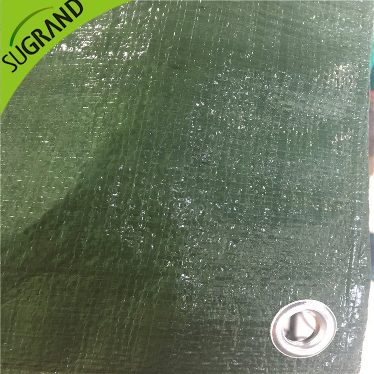 150gsm couverture verte verte pour les jardins