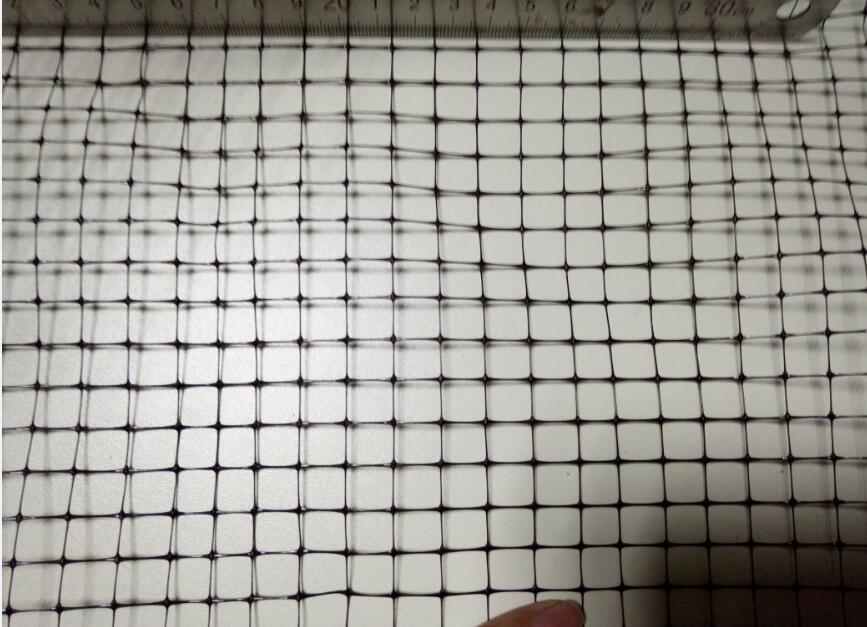 Introduction à Anti Bird Net