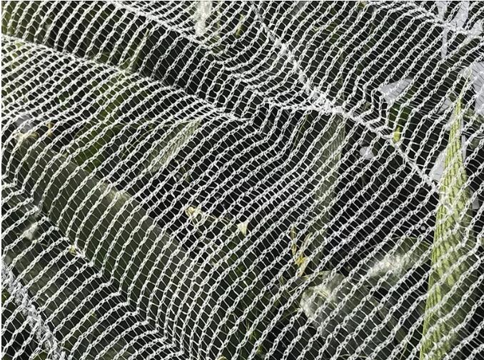 filet &agrave; abeilles1