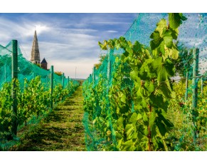 Comment choisir la taille du maillage pour anti-filet