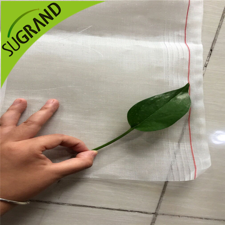 Comment laisser échapper le vent et empêcher les insectes de filet dans la serre?