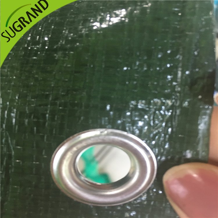 150gsm couverture verte verte pour les jardins