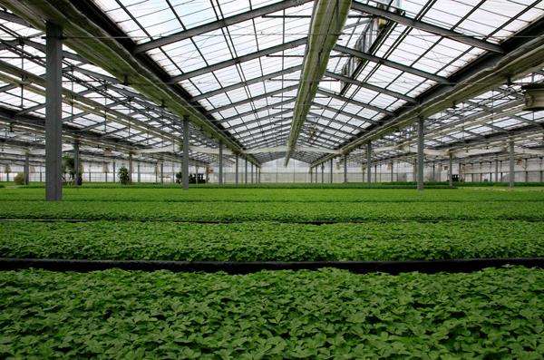 filet d'ombrage &agrave; effet de serre