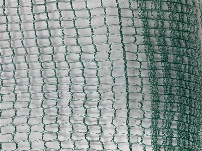 Filet carré de récolte d'olives vertes de fruits 32GSM