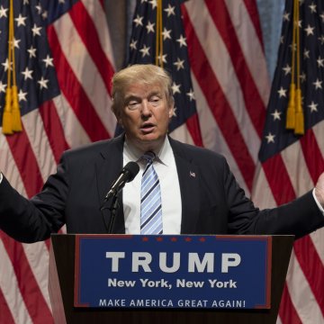 filet de soutien des plantes