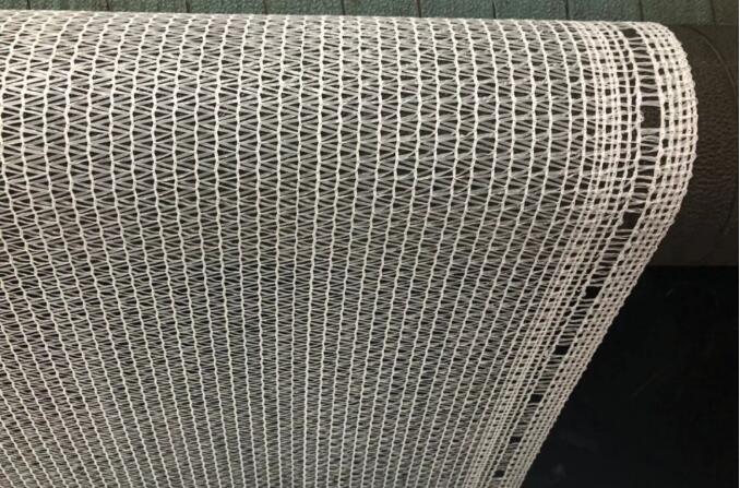 filet &agrave; olives20