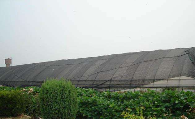 Quelle couleur est bonne pour les filets d'ombre?