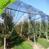 NOUVEAU HDPE Black Anti Bee Net en ligne