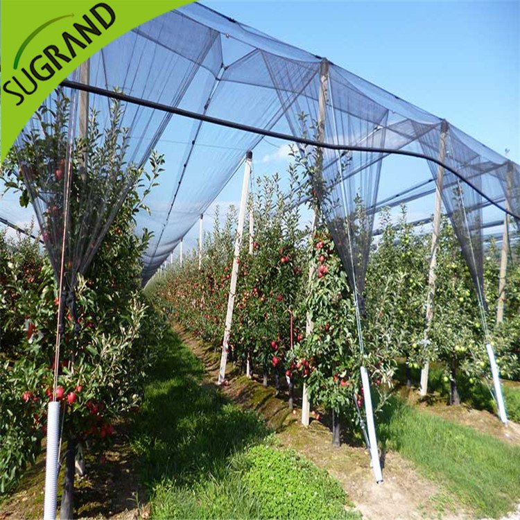 NOUVEAU HDPE Black Anti Bee Net en ligne