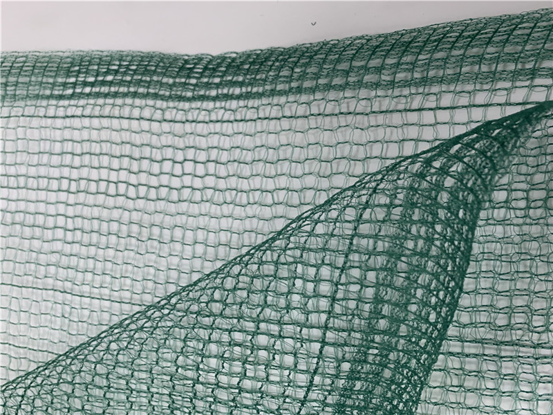 Filet carré de récolte d'olives vertes de fruits 32GSM