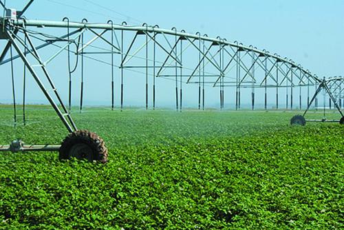 filet en plastique agricole 