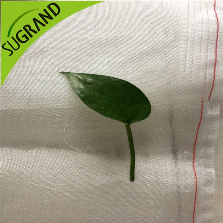 130gsm agriculture vierge