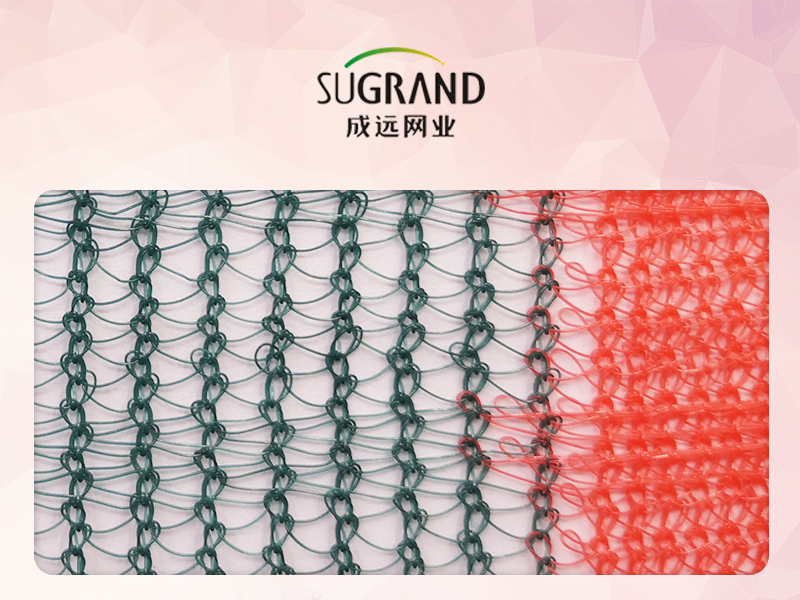 Filet de cueillette d'olives vertes Triangle Orchard