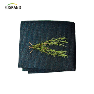 160 GSM CHIDE MONO Black Green Dark