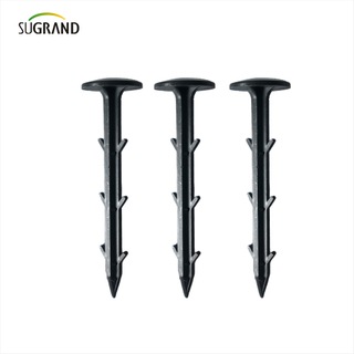 China Factory Quality Nail Nail Nail Nails Fixation de mauvaises herbes 