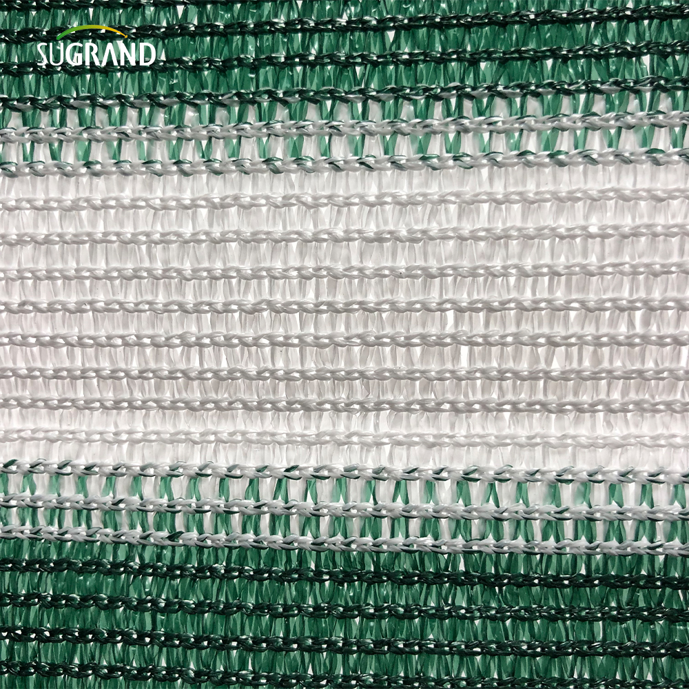 Clôture d'écran d'intimité lourde Maux de maille net jardin jardin arrière-cour