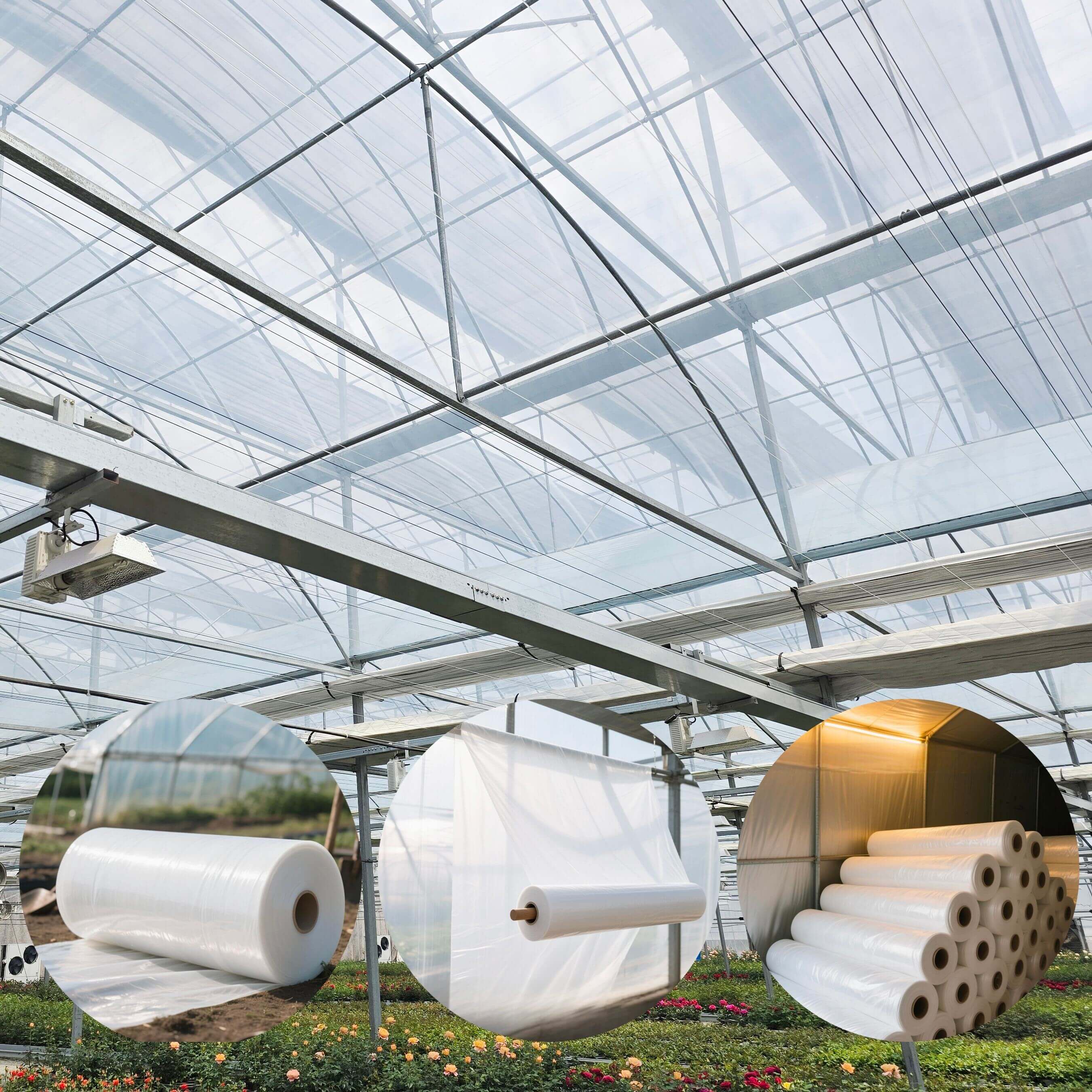 film &agrave; effet de serre