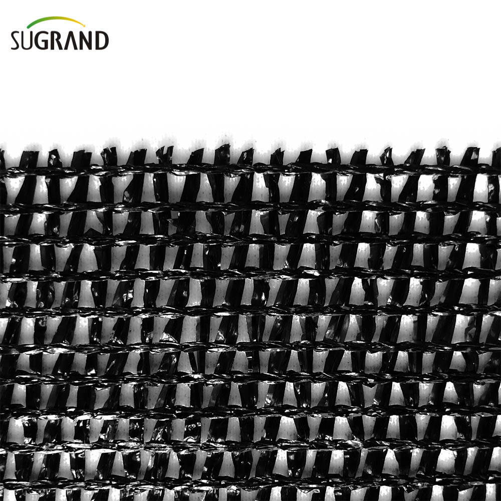 Agriculture noire de qualité Chili Sun Shade Net