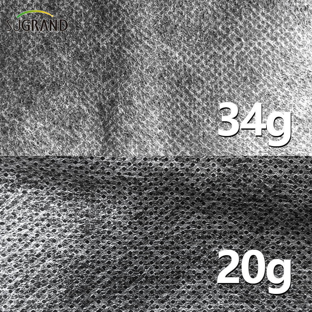 100g 2x50m Agriculture PP Tissu blanc non tissé 