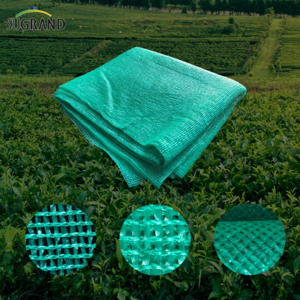 HDPE Sun Shade Net Mesh Plastic Agricultural Shade Net 