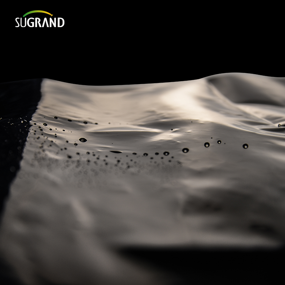 PE Garden Weed Mat agriculture Film de paillis en plastique