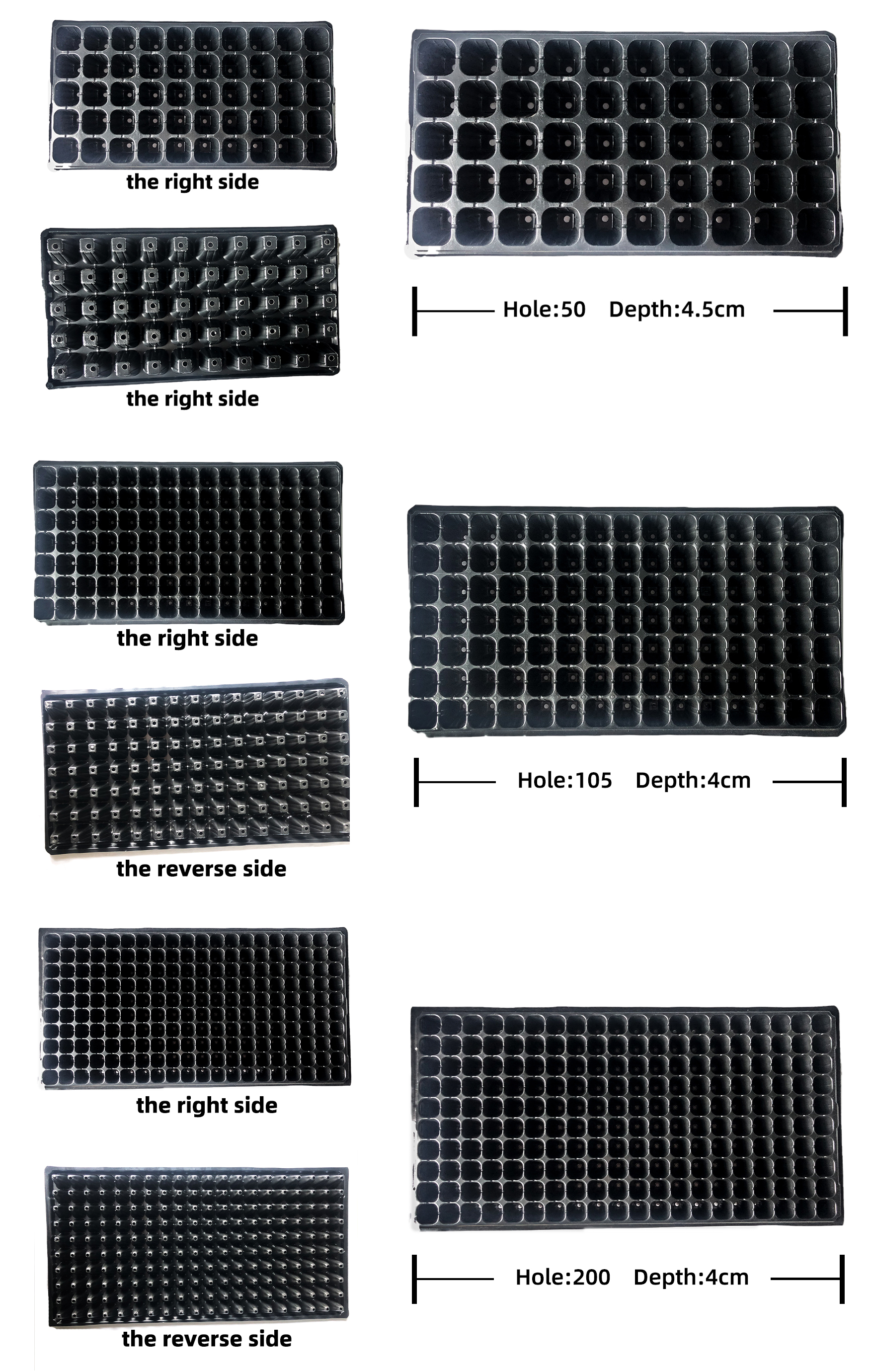 Plateaux de culture de plantes