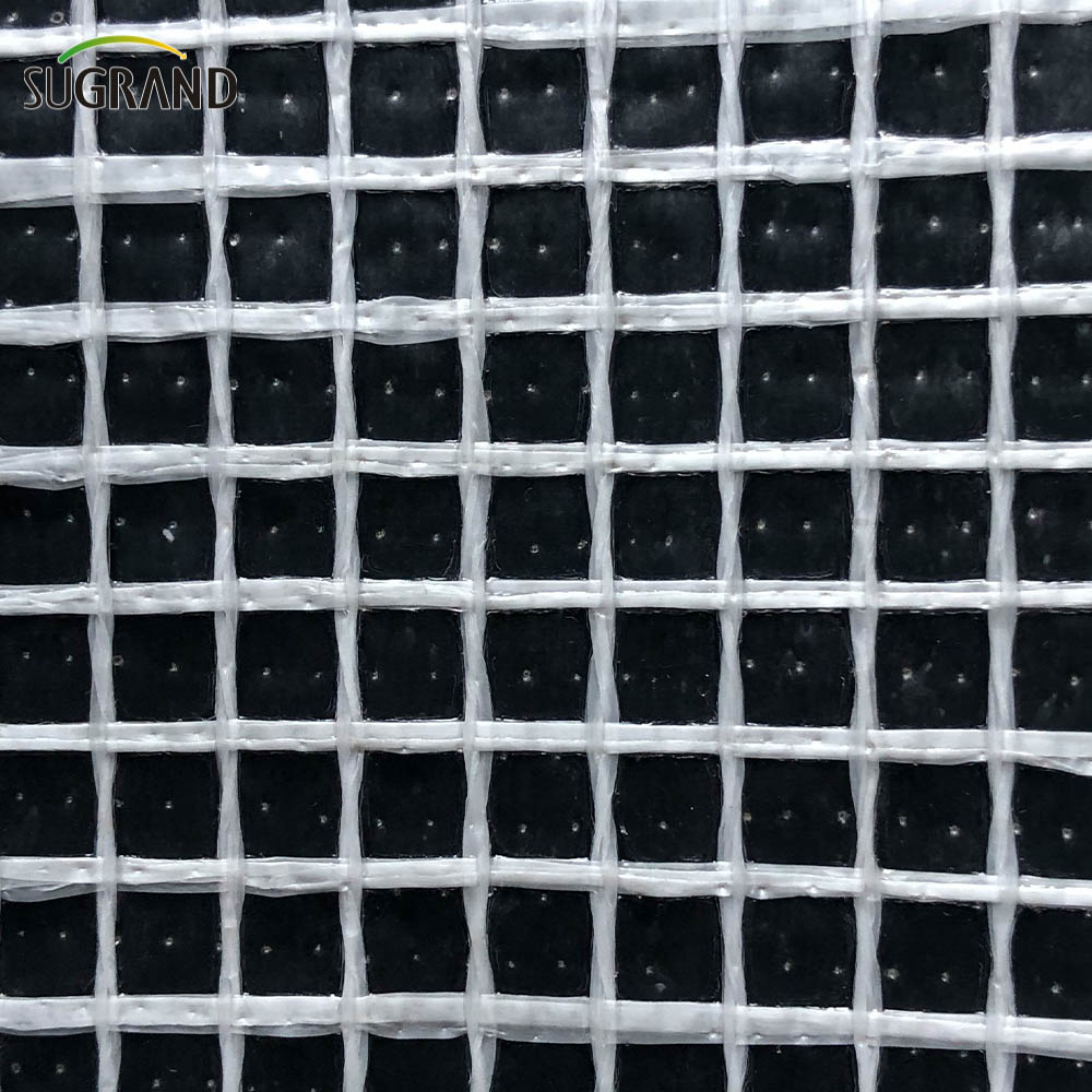 PVC Blanc Fireproof Mesh Sheet d'échafaudage