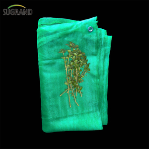 Extérieur 660gsm Green Construction Sécurité Sécurité Net Fournisseurs