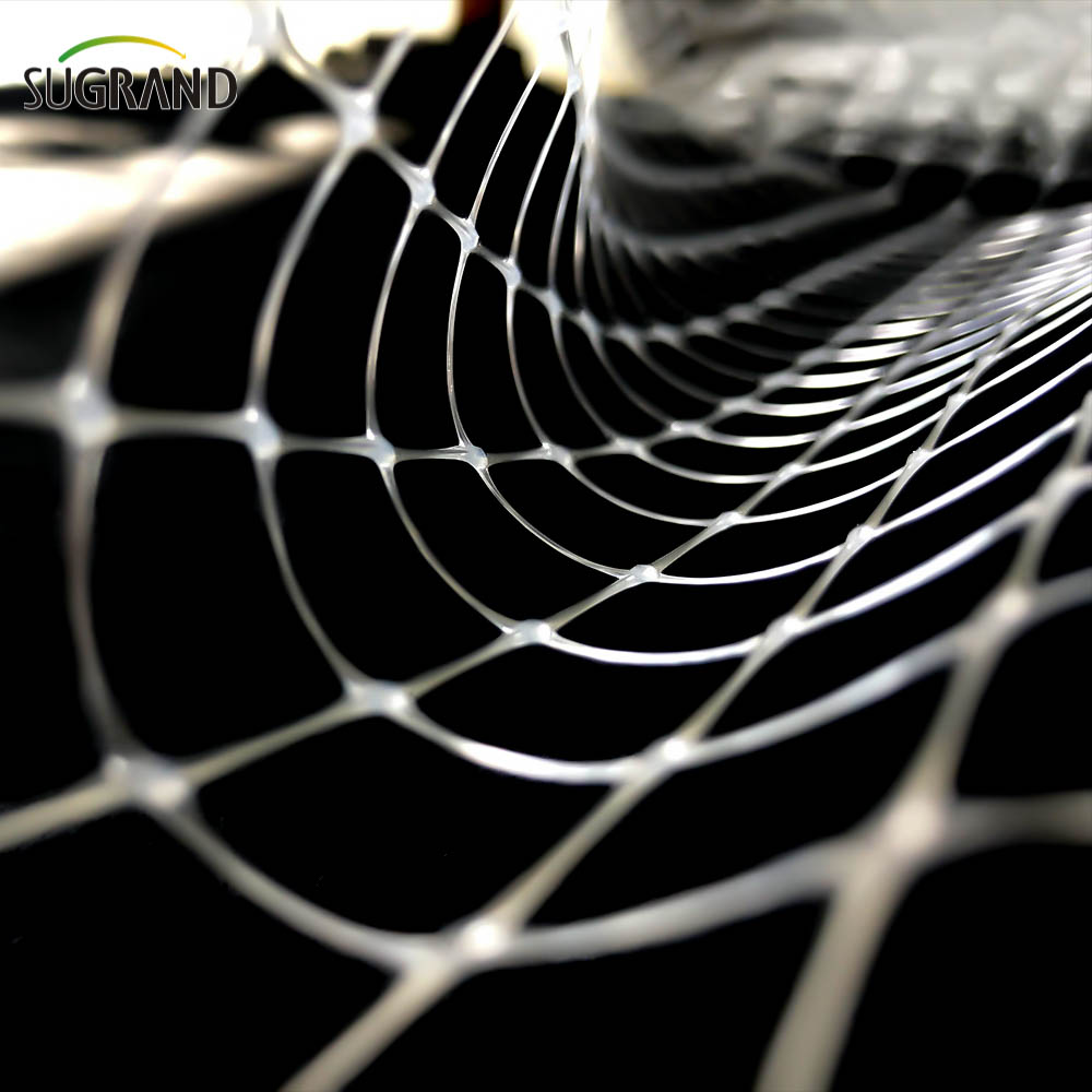 Net anti-bird extrudé 8 * 8 mm pour les fruits fournisseurs de filets d'oiseau