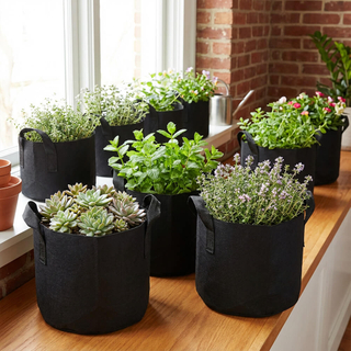 Sacs de culture en gallons de tissu non tissé en gros