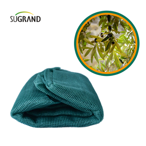 Filet de récolte de collecteur de fruits fabriqué en usine Filet d'olive triangulaire vert foncé