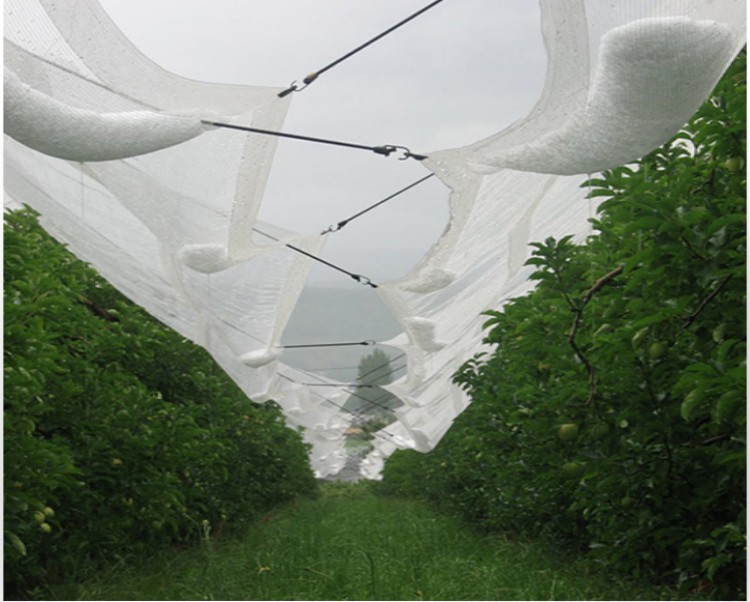 Couet de protection de la gr&ecirc;le