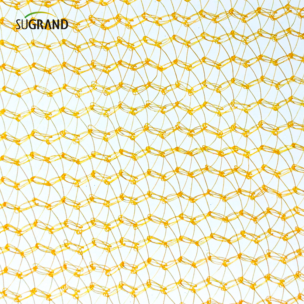 Protection du bâtiment Échafaudage de sécurité gris avec un trou de bouton