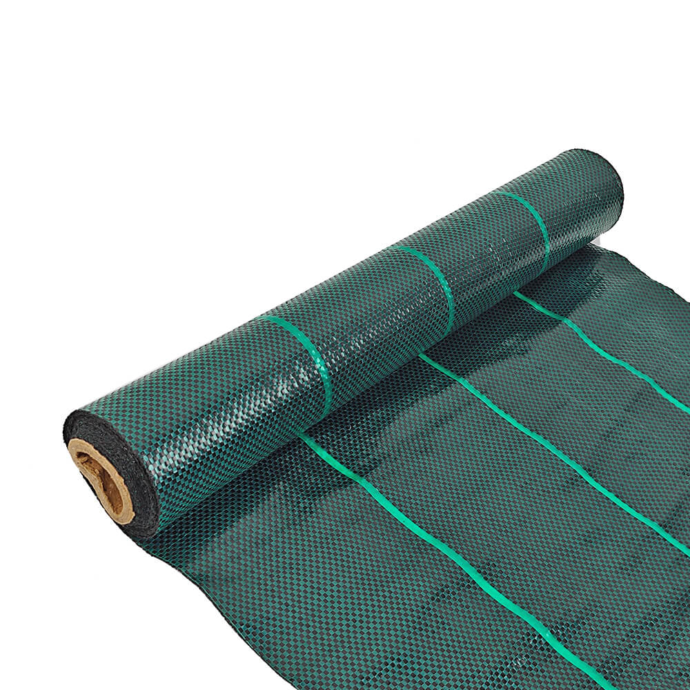 Usine de tissu de paysage de couverture de sol vert foncé