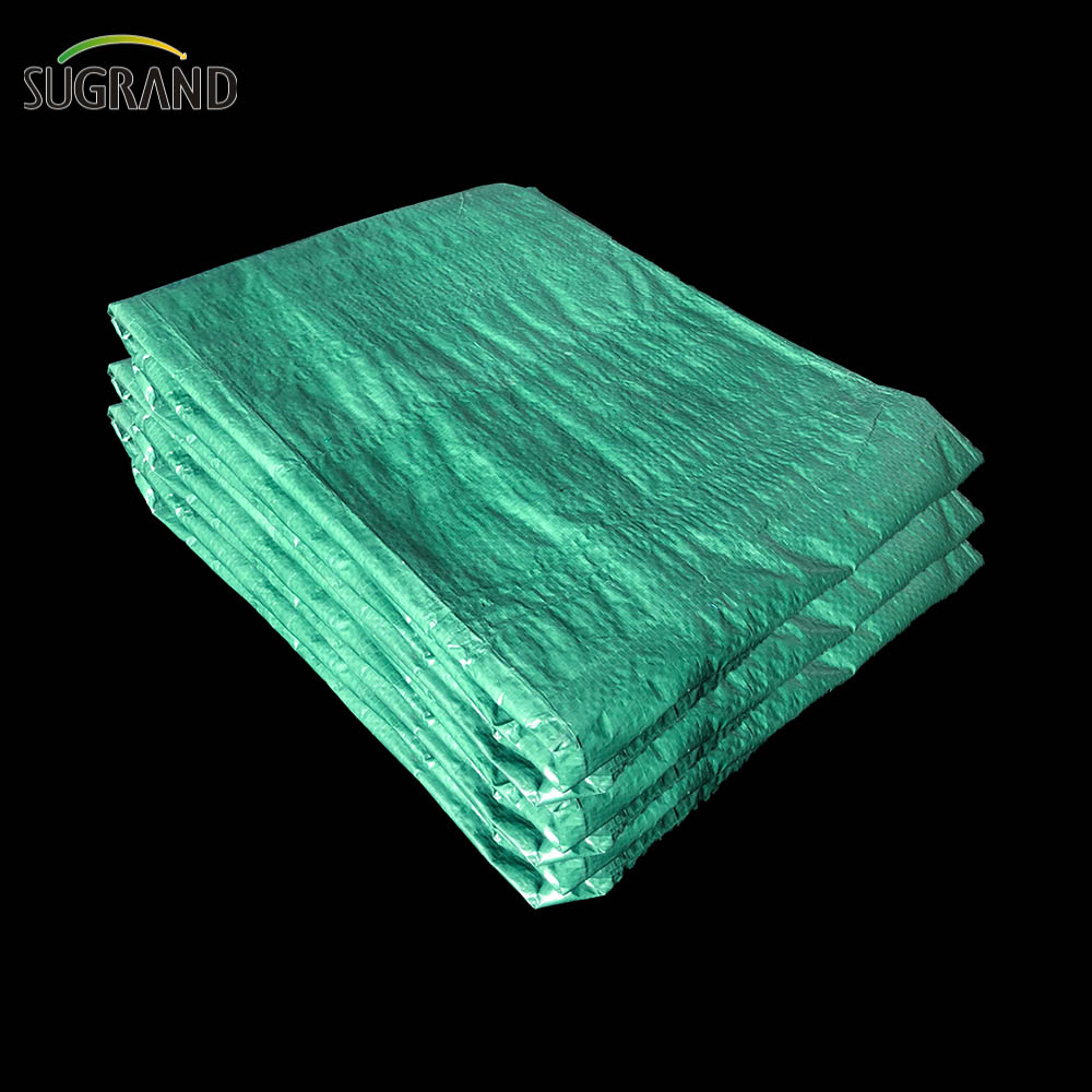Plastique toile imperméable PE Blue-Green Tarpaulin pour l'agriculture