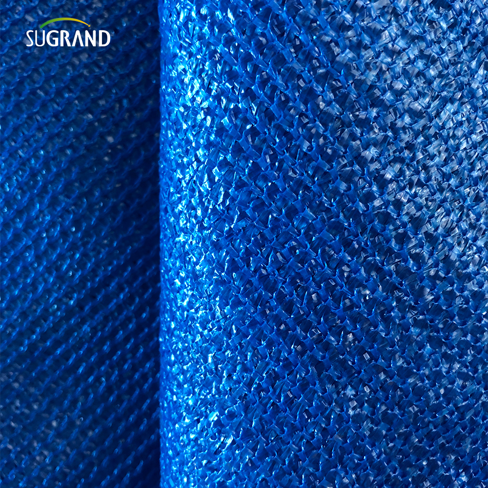 Deux aiguilles de ruban bleu + nuage de ruban adhésif net