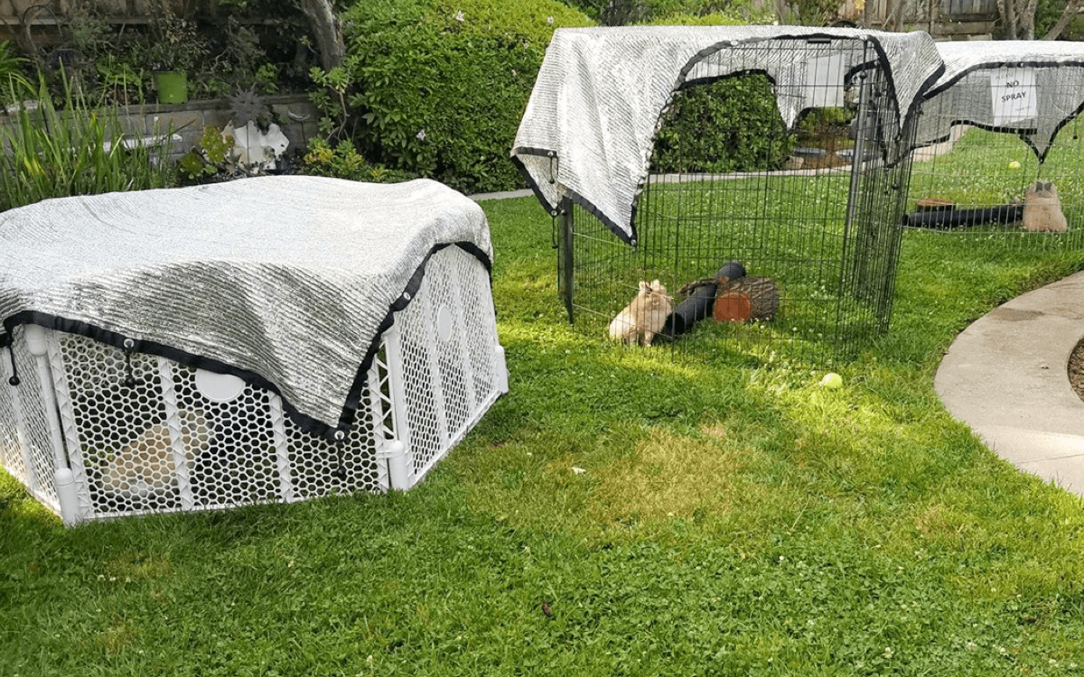 Comment mesurer pour une teinte à voile