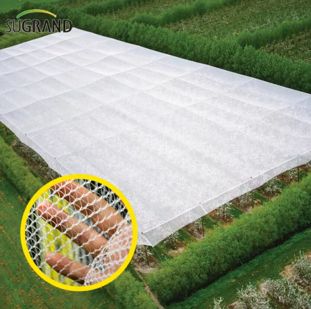 Net anti-gr&ecirc;le